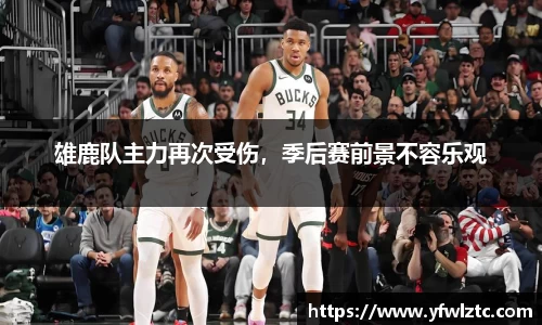 雄鹿队主力再次受伤，季后赛前景不容乐观
