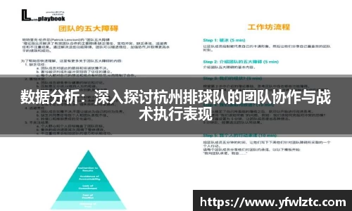 数据分析：深入探讨杭州排球队的团队协作与战术执行表现