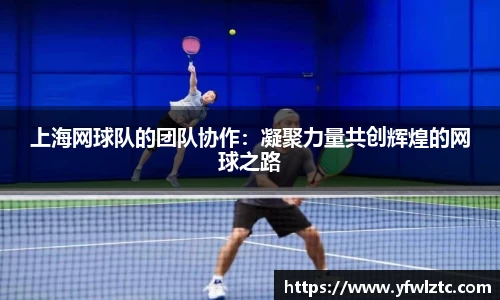 上海网球队的团队协作：凝聚力量共创辉煌的网球之路
