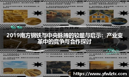 2019南方钢铁与中央脉搏的较量与启示：产业变革中的竞争与合作探讨